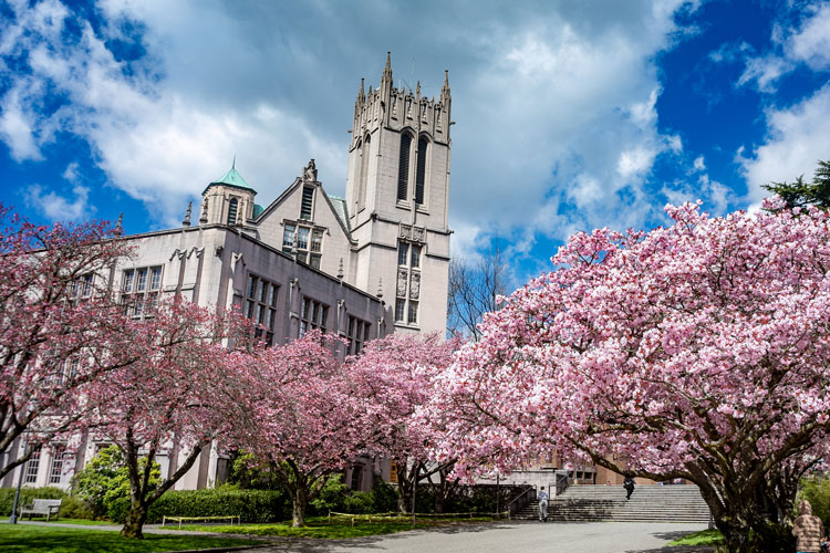 a view of the main building and tower of Gerberding Hall, a grey stone building in gothic architecture style