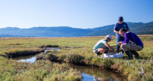 a group of three researchers crouch down in a flat marsh landscape with a stream flowing beside them and a long mountain range in the background