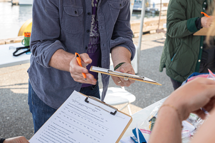 Qualitative and quantitative survey research