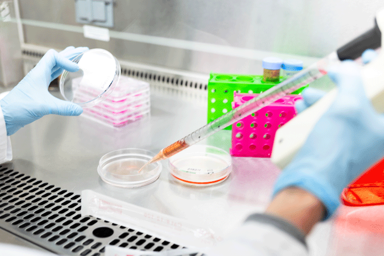 Protein and chemical analysis