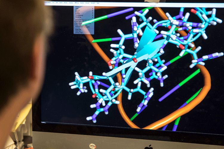 Bioinformatics and statistical analysis