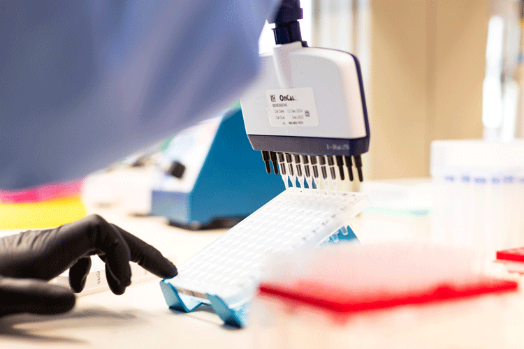 Sequencing and gene analysis